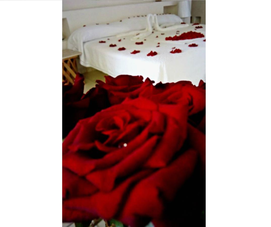 Il Piccolo Peccato (Adults Only) Hotel Cuernavaca Exterior foto